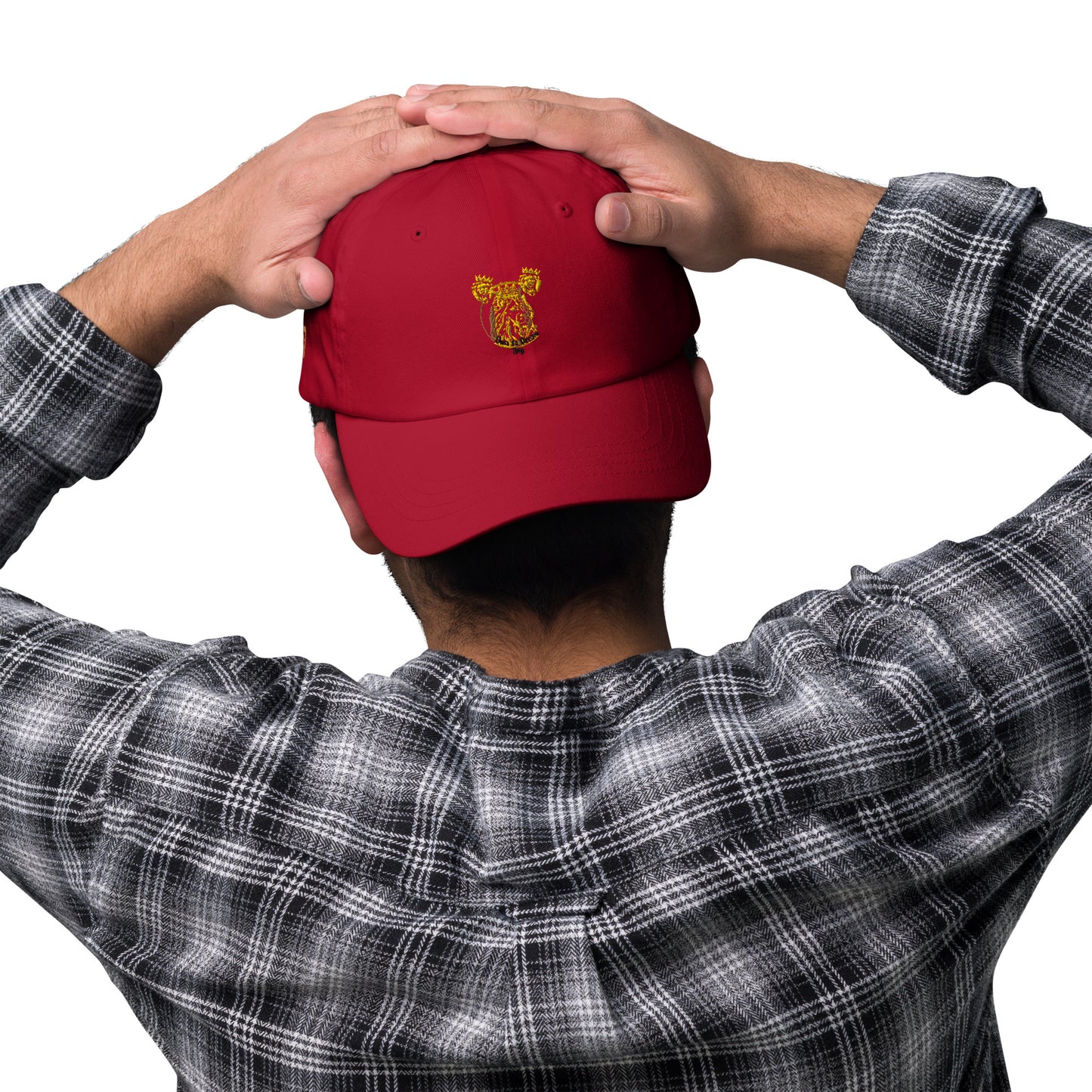 Dare to Dream Hat