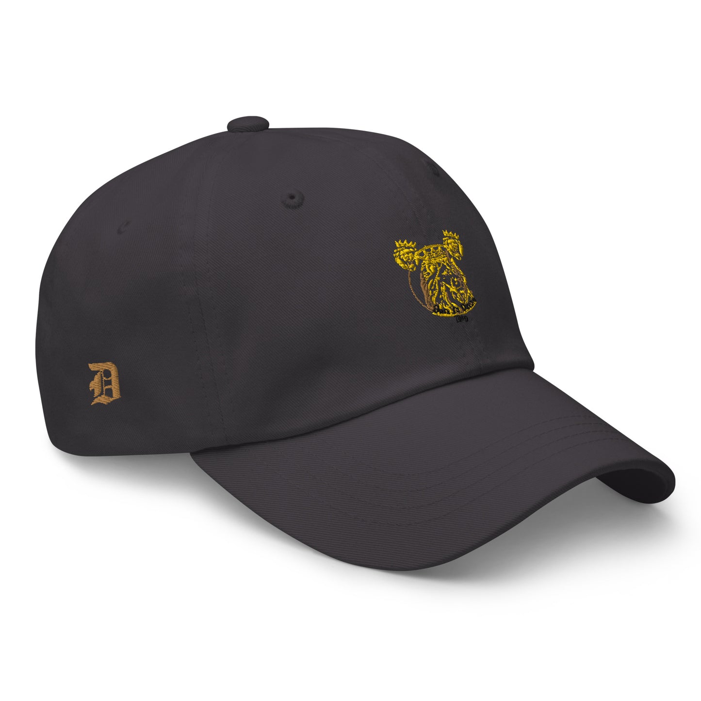 Dare to Dream Hat