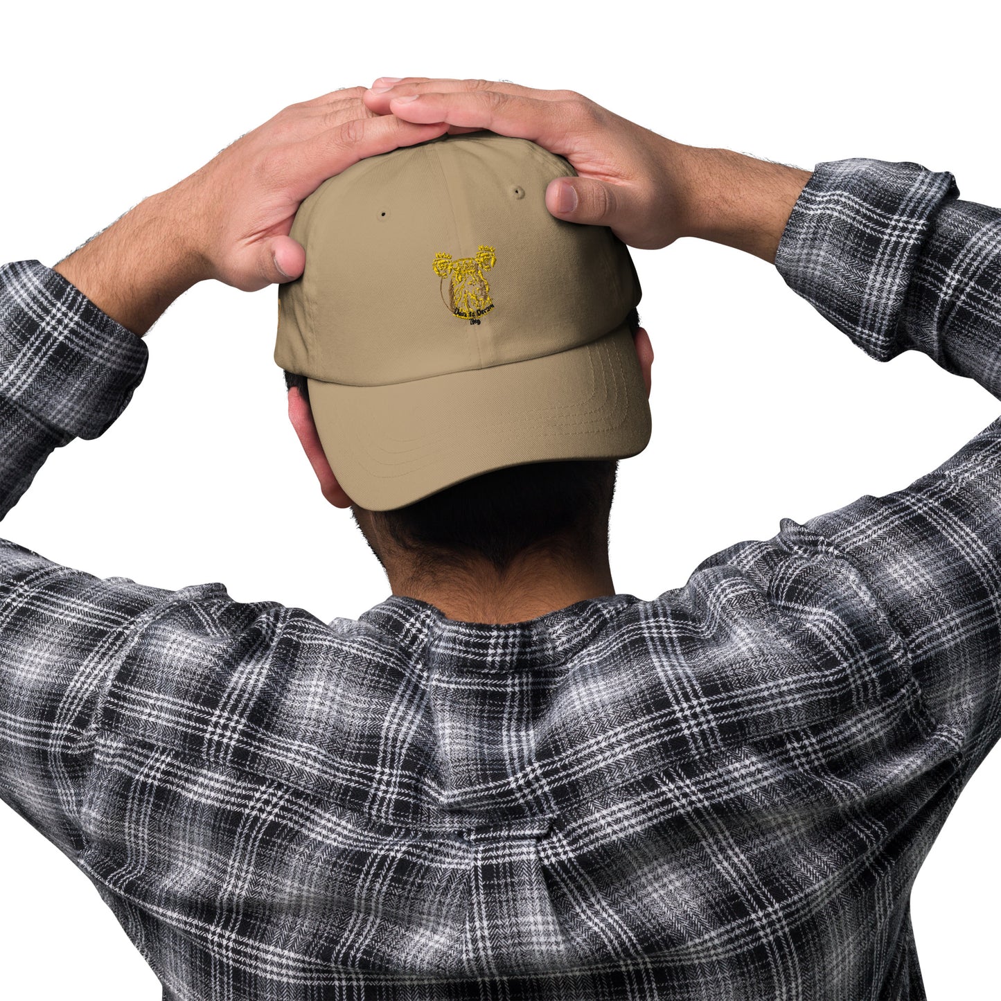 Dare to Dream Hat