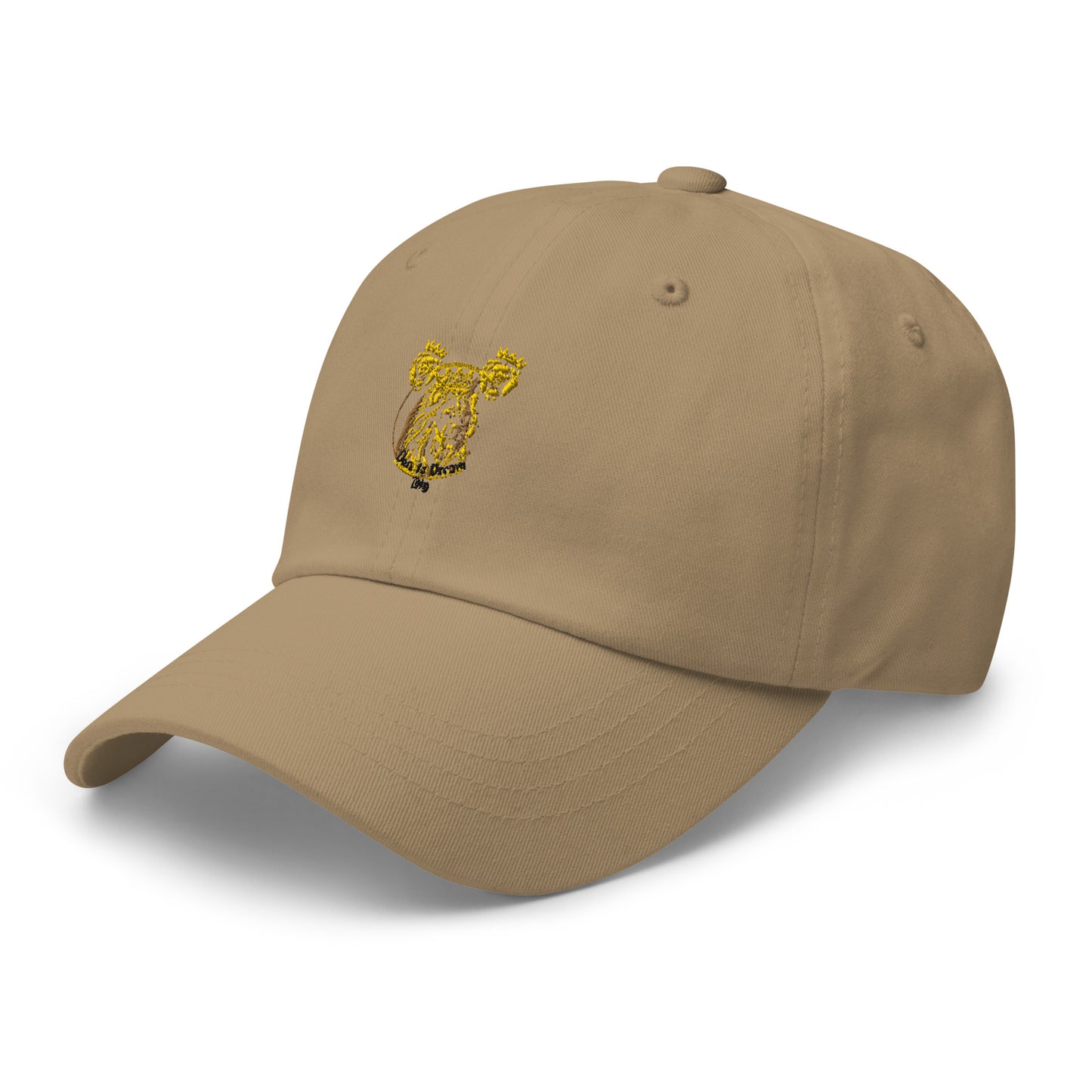 Dare to Dream Hat