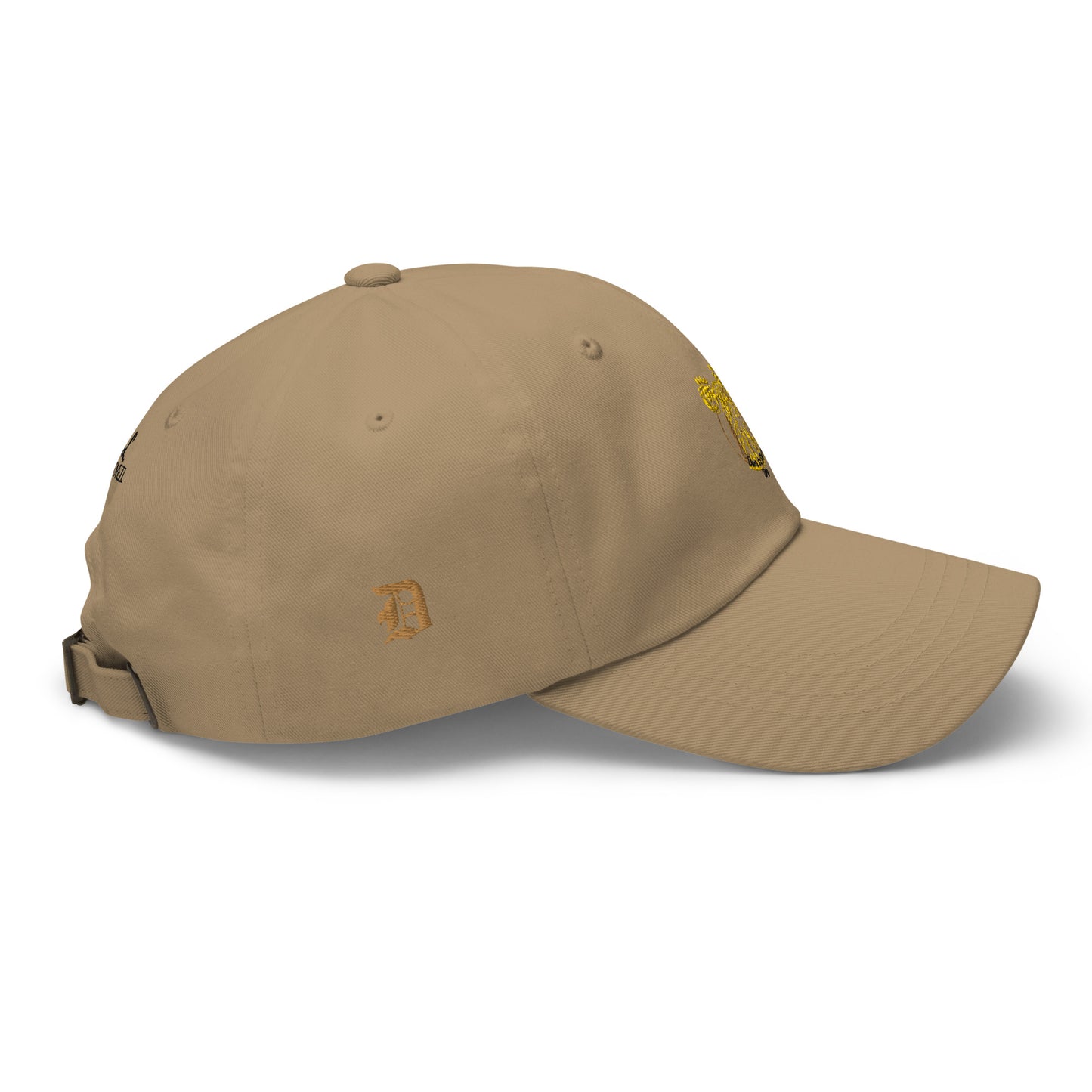 Dare to Dream Hat