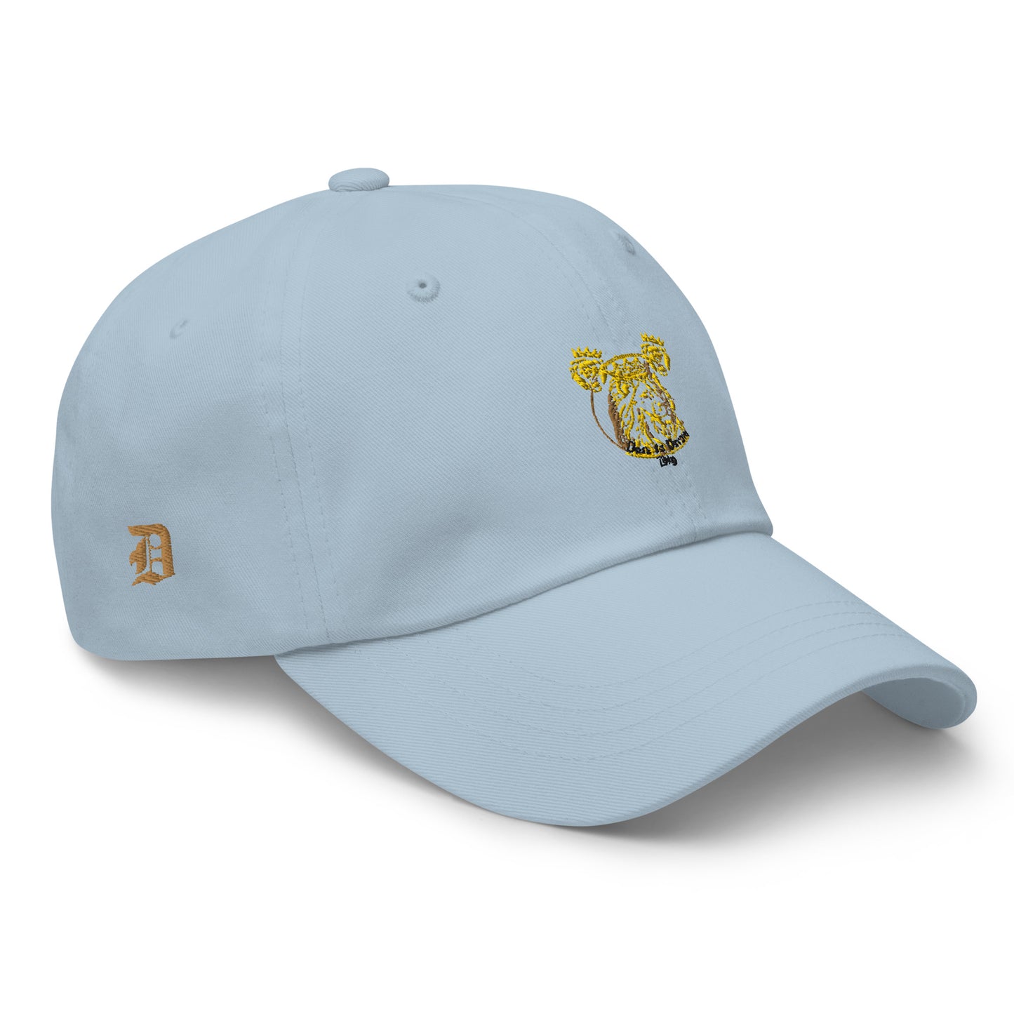 Dare to Dream Hat