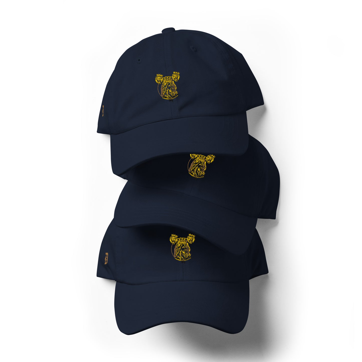Dare to Dream Hat