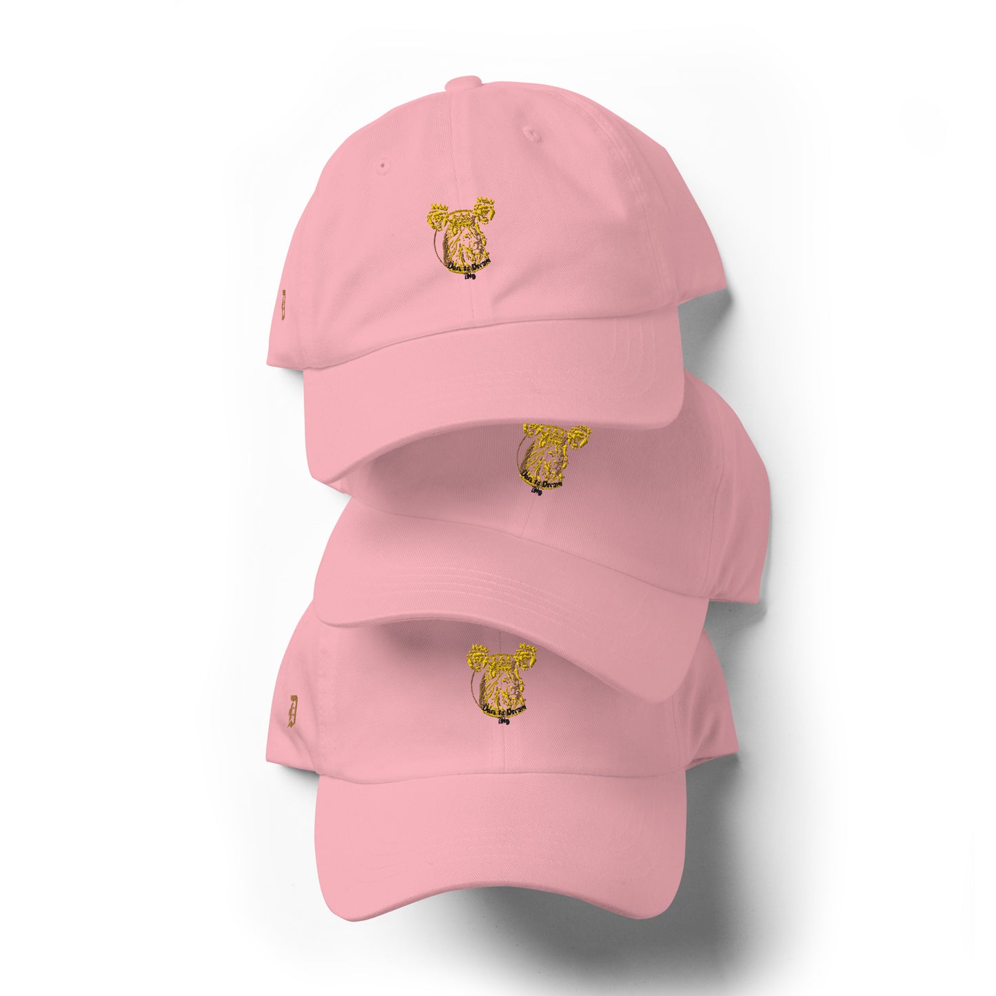 Dare to Dream Hat