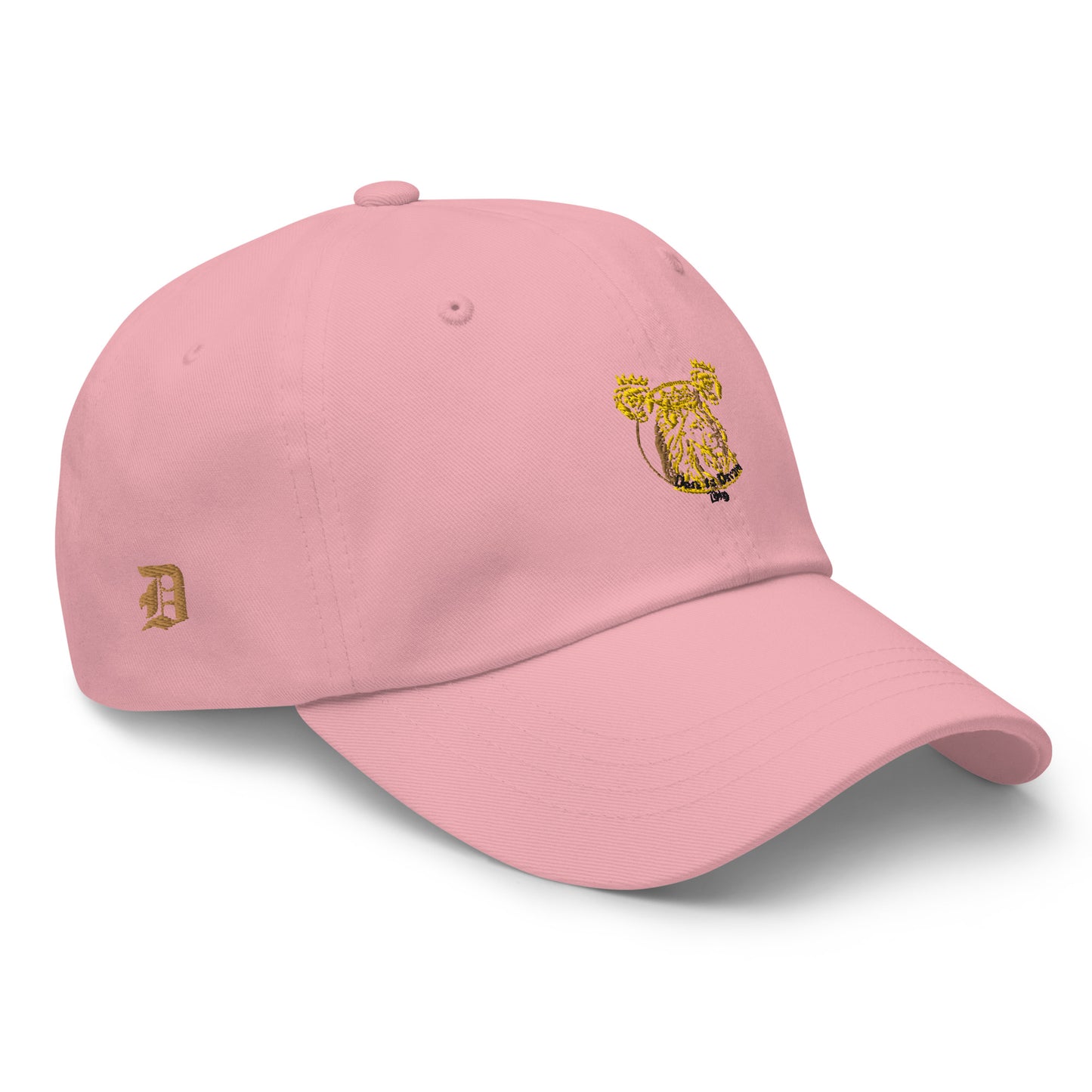 Dare to Dream Hat