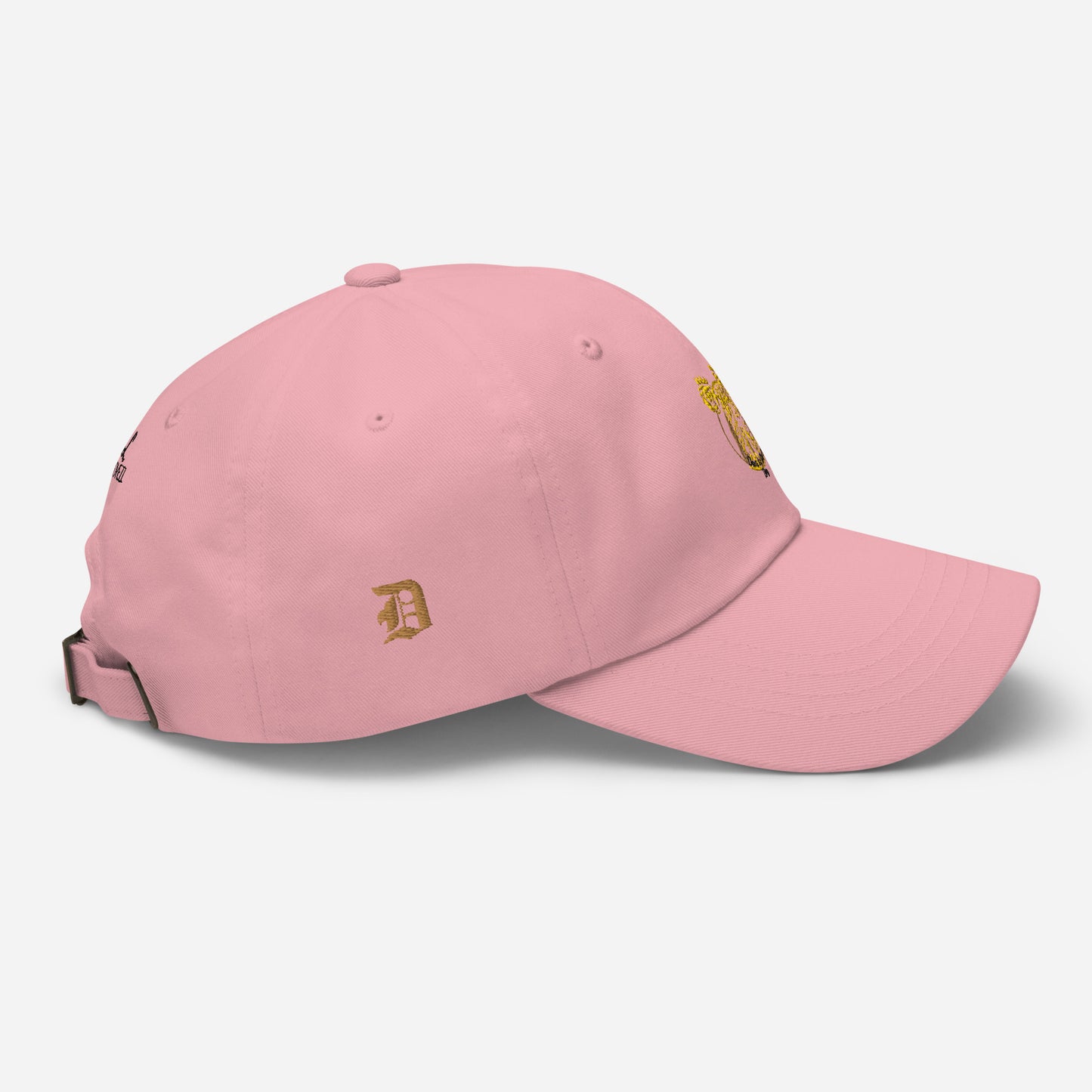 Dare to Dream Hat