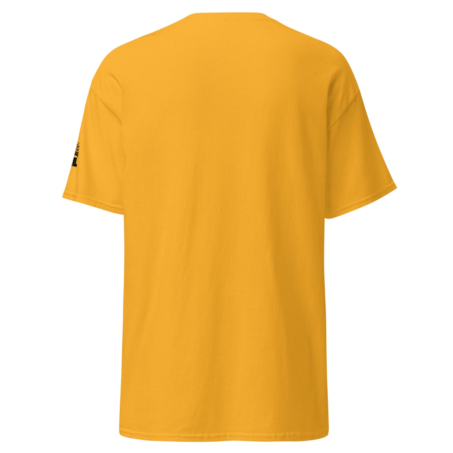 Self Love is Important Classic Tee