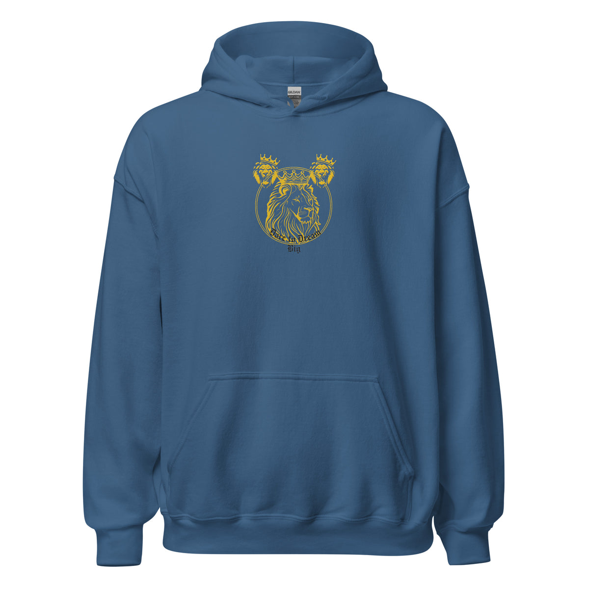 Dare to Dream Big Hoodie
