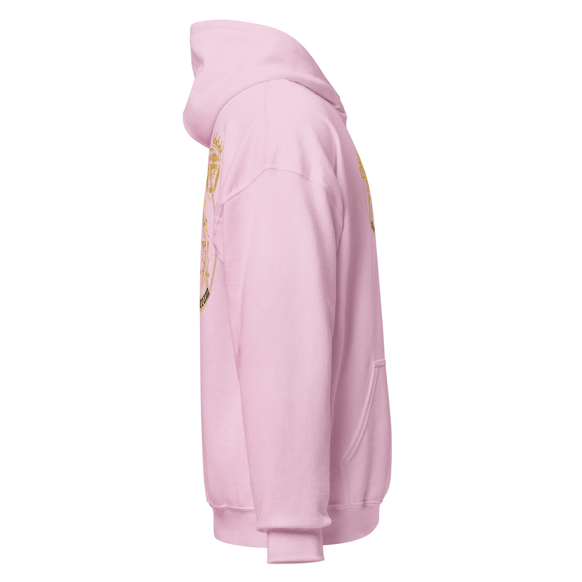 Dare to Dream Big Hoodie