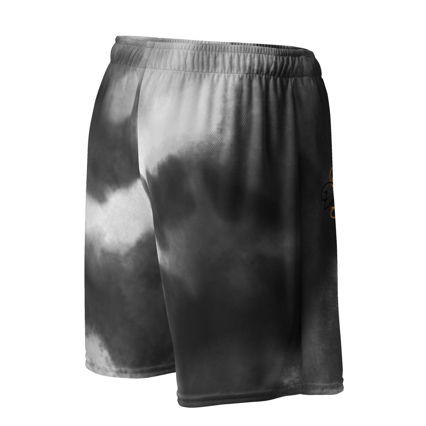 Dramatic Mesh Shorts BW