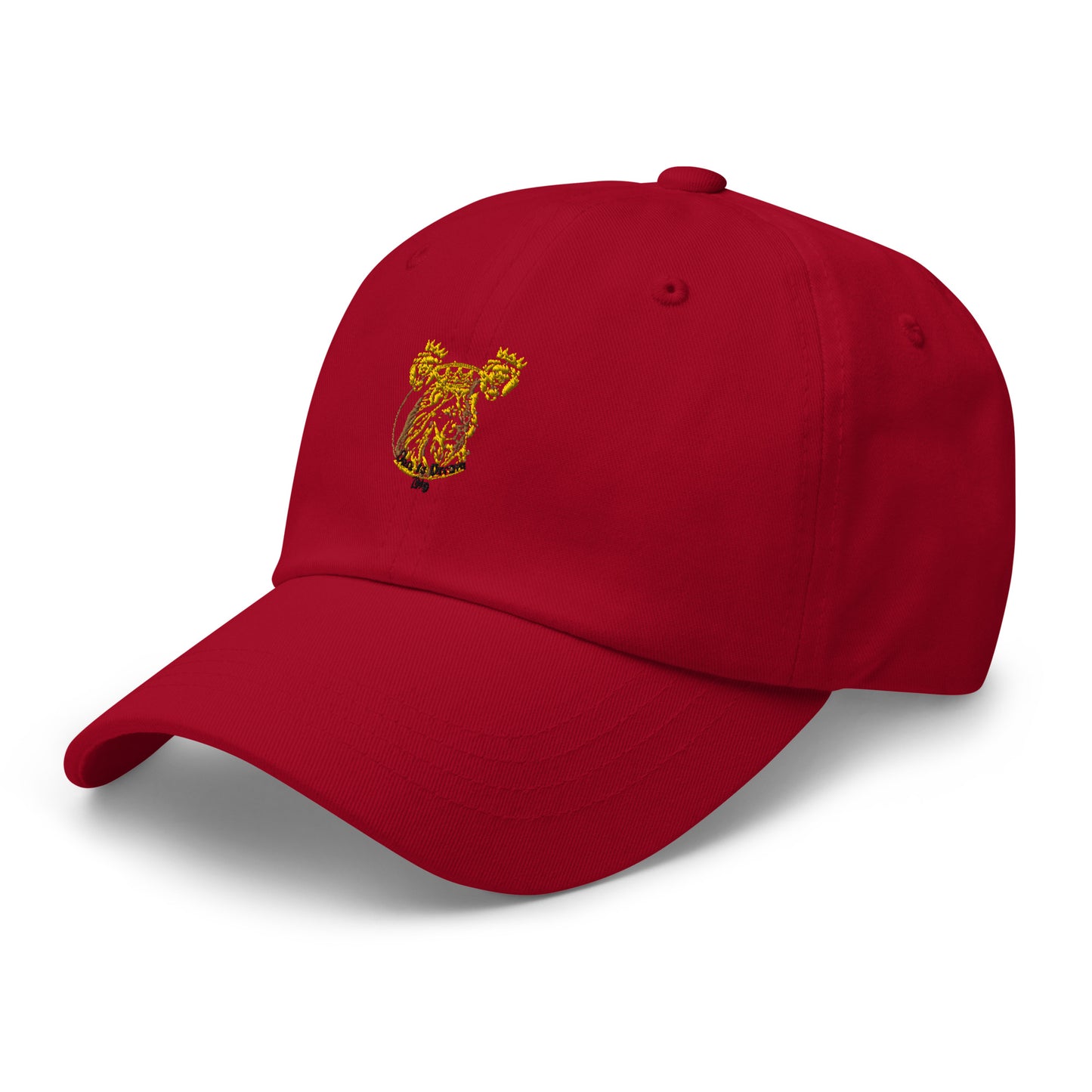 Dare to Dream Hat