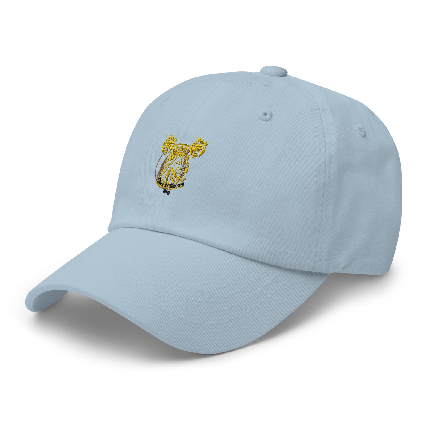 Dare to Dream Hat