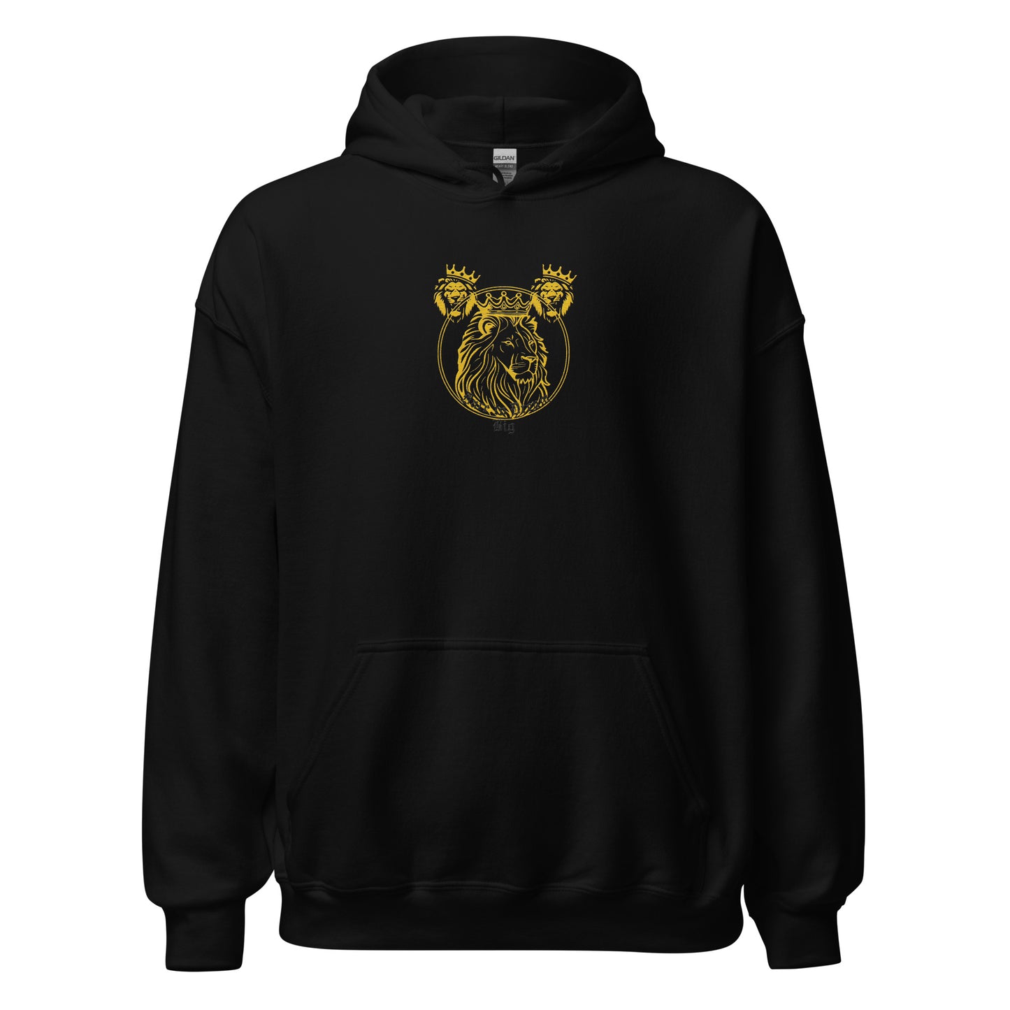 Dare to Dream Big Hoodie