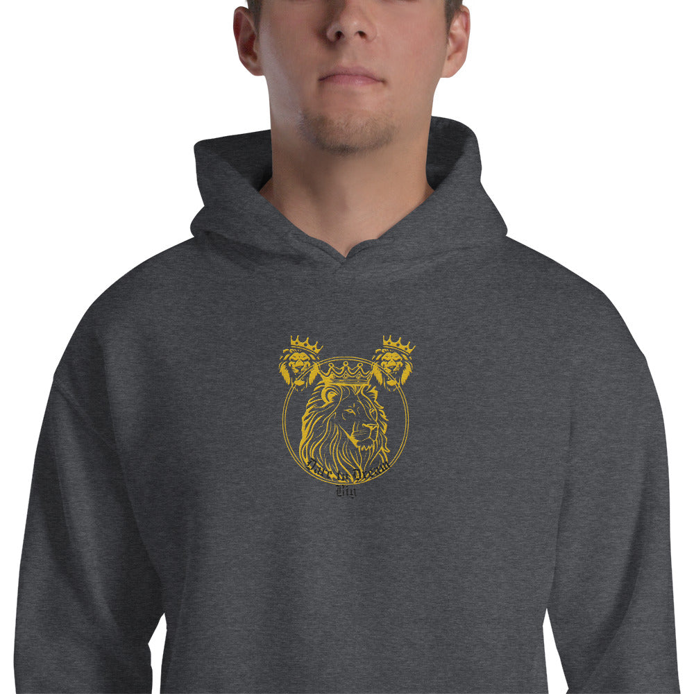 Dare to Dream Big Hoodie